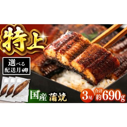 ふるさと納税 うなぎ 福岡県 桂川町 チョイス限定 鹿児島産 うなぎ 蒲焼 3尾セット 桂川町/山水商事