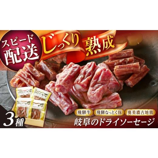 ふるさと納税 肉 ソーセージ 岐阜県 恵那市 スピード配送 岐阜のドライソーセージ3種セット / ソーセージ ドライソーセージ セット 肉 加工品 加工肉 飛騨牛…