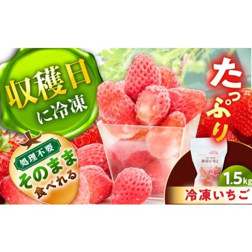 ふるさと納税 いちご 岐阜県 恵那市 冷凍いちご1.5キロ / 苺 いちご 冷凍 冷凍いちご / 恵那市 / 阿部農園