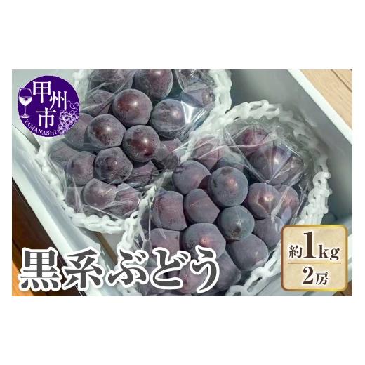 ふるさと納税 果物類 ぶどう 山梨県 甲州市 クール配送 山梨県産黒系ぶどう2房(約1kg) 2026年発送 (KFT)B11-1812 ぶどう 葡萄 ブドウ 令和8年発送 期間限…