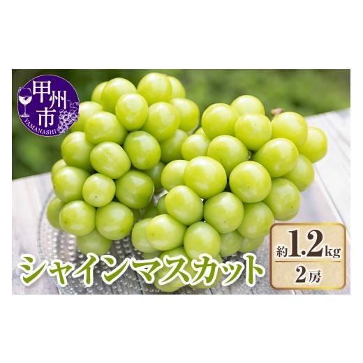 ふるさと納税 ぶどう マスカット 山梨県 甲州市 クール配送 極上 山梨県産シャインマスカット2房(約1.2kg) 2026年発送 (KFT)B13-1813 シャインマスカット…