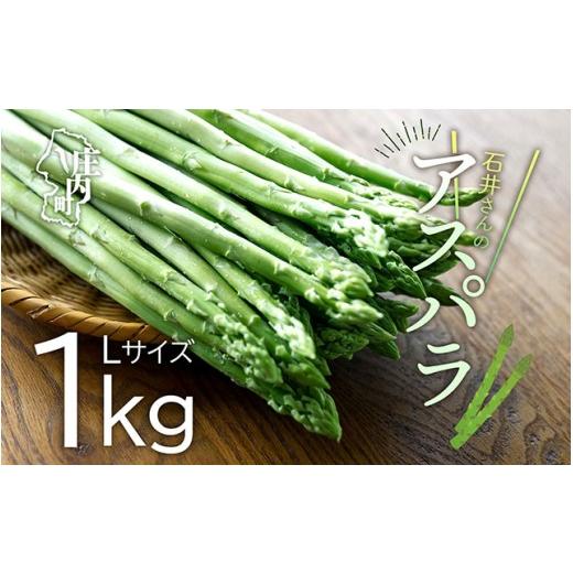 ふるさと納税 野菜類 アスパラガス 山形県 庄内町 R8.3月より順次発送 庄内町産 石井さんのアスパラガス 1kg Lサイズ(入金期限:2026.9.30)ジューシーな甘…