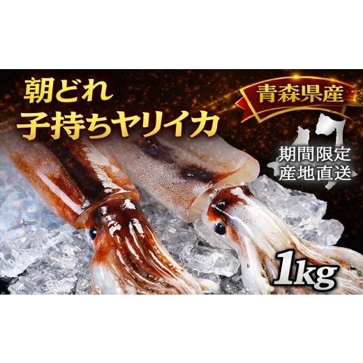 ふるさと納税 イカ 青森県 むつ市 産地直送 津軽海峡 大畑港産 朝獲れ子持ちヤリイカ 1kg
