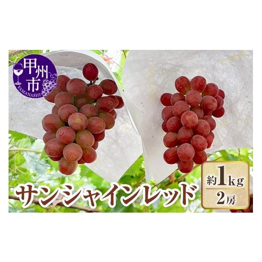 ふるさと納税 果物類 ぶどう 山梨県 甲州市 クール配送 山梨県産サンシャインレッド2房(約1kg) 2026年発送 (KFT)C-1812 サンシャインレッド ぶどう 葡萄 …