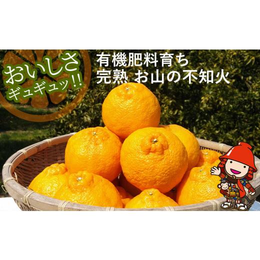 ふるさと納税 果物類 みかん 大分県 中津市 数量限定 大久保農場の有機肥料育ち樹上完熟柑橘 お山の不知火 11玉 約3kg以上 | フルーツ 果物 くだもの 不知火 …