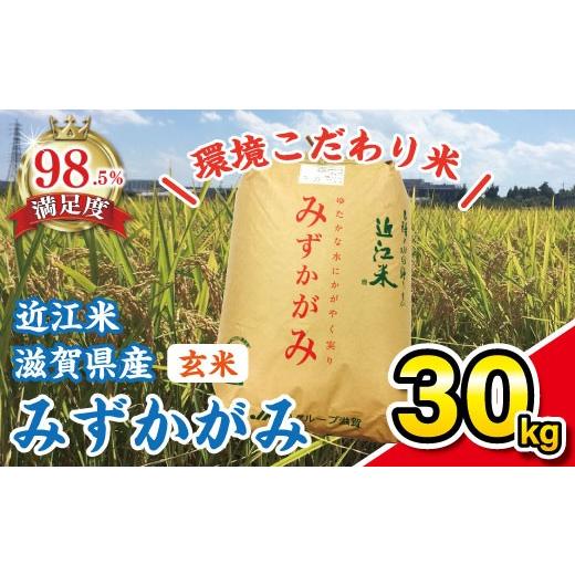 ふるさと納税 米 滋賀県 近江八幡市 令和7年産 みずかがみ 玄米 30kg K073W みずかがみ 米 お米 こめ コメ 玄米 ご飯 5kg 10kg 30kg 国産 送料無料 おすすめ …