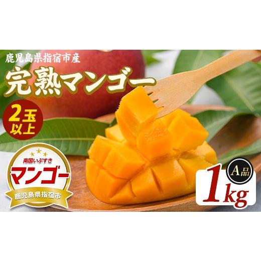 ふるさと納税 マンゴー 鹿児島県 指宿市 2026年発送 鹿児島県指宿産 完熟マンゴー 約1kg (室屋植物園/IB163-001) 贈答用 完熟 フルーツ 果物 果実 デザート …