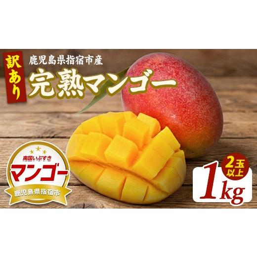 ふるさと納税 マンゴー 鹿児島県 指宿市 2026年発送 訳あり 鹿児島県指宿産 完熟マンゴー約1kg (室屋植物園/IB163-003) 訳あり ご家庭用 完熟 フルーツ 果物…