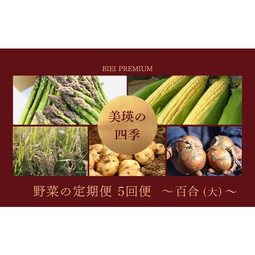 ふるさと納税 野菜類 アスパラガス 北海道 美瑛町 先行予約 <令和8年産 > 美瑛の四季 野菜 定期便 百合(大) 5回便 セット 詰め合わせ | 美瑛米 ななつ…