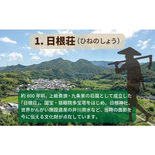 ふるさと納税 感謝状等 大阪府 泉佐野市  返礼品なし 3つの日本遺産を核とする史跡等保存応援寄附（大阪府泉佐野市）_3