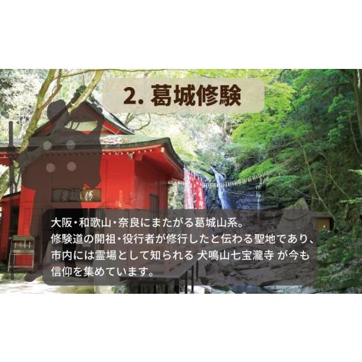 ふるさと納税 感謝状等 大阪府 泉佐野市  返礼品なし 3つの日本遺産を核とする史跡等保存応援寄附（大阪府泉佐野市）_4