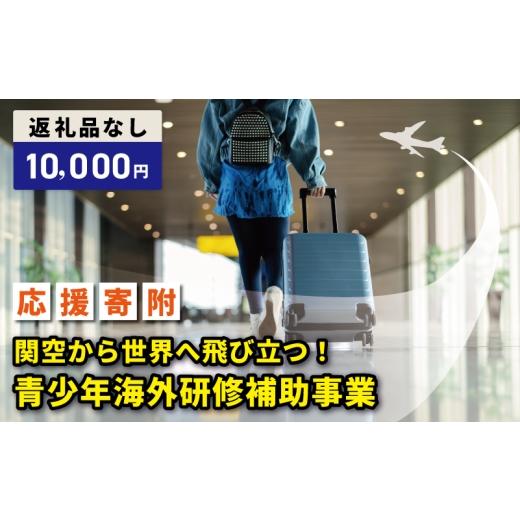 ふるさと納税 感謝状等 大阪府 泉佐野市 返礼品なし 関空から世界へ飛び立つ 青少年海外研修補助応援寄附(大阪府泉佐野市)