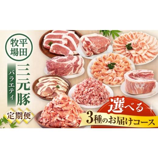 ふるさと納税 豚肉 セット 北海道 喜茂別町 少人数向け 全5回定期便 平田牧場 バラエティ定期便 2~3人前 [喜茂別町] 平田牧場 肉 豚肉 ロース バラ肉 ステ…