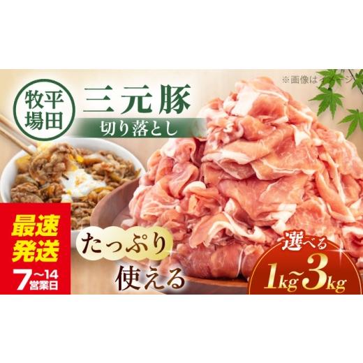 ふるさと納税 豚肉 炒め物 北海道 喜茂別町 1kg 平田牧場 切り落とし 1kg (500g×2P) [喜茂別町] 平田牧場 豚肉 切り落とし 肉 冷凍 国産 切落し 野菜炒め …