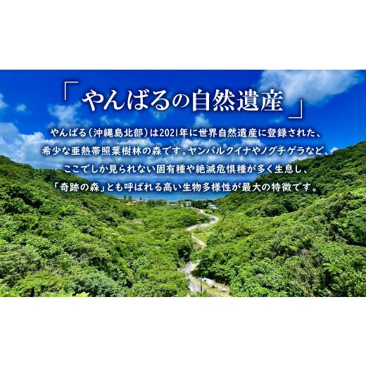 ふるさと納税 アウトドアグッズ 沖縄県 国頭村 広葉樹 国頭産イタジイの薪 約5kg(1束8枚) 1720373の画像
