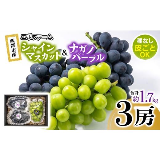 ふるさと納税 ぶどう マスカット 宮崎県 西都市 シャインマスカット・ナガノパープル 食べ比べセット 3房 1700g以上 宮崎県西都市産ぶどう 葡萄 ブドウ 先行予…