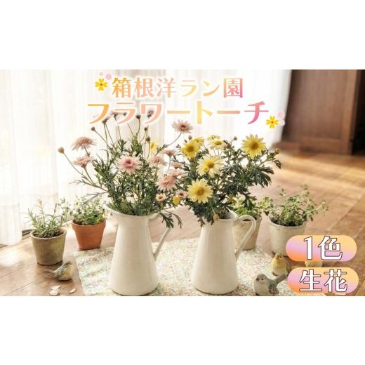 ふるさと納税 雑貨・日用品 花 静岡県 三島市 フラワートーチ mini サイズ マーガレット お花 プレゼント 贈答用 お祝い ギフト 箱根洋ラン園 静岡県 三島市