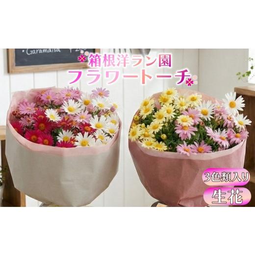 ふるさと納税 雑貨・日用品 花 静岡県 三島市 フラワートーチ Big サイズ マーガレット お花 プレゼント 贈答用 お祝い ギフト 箱根洋ラン園 静岡県 三島市