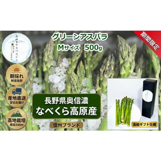 ふるさと納税 野菜類 茄子 長野県 飯山市 期間限定 アスパラガス みゆきアスペルジュ Mサイズ 500g入り(17〜20本)[出荷時期:2026年5月中旬頃〜]株式会社Fo…