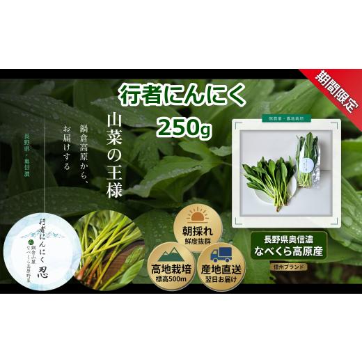 ふるさと納税 野菜類 長野県 飯山市 期間限定 行者にんにく 忍 250g入り 1箱(35枚〜40枚)[出荷時期:2026年5月中旬頃〜]株式会社ForestDoor|長野県 飯山…