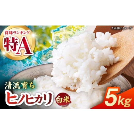 ふるさと納税 米 ヒノヒカリ 熊本県 山鹿市 先行予約 令和8年度産 ヒノヒカリ 白米 5kg 奥村果実園