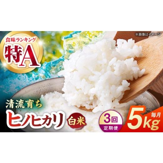 ふるさと納税 米 ヒノヒカリ 熊本県 山鹿市 先行予約 3回定期便 山鹿市産 ヒノヒカリ 白米 5kg 奥村果実園