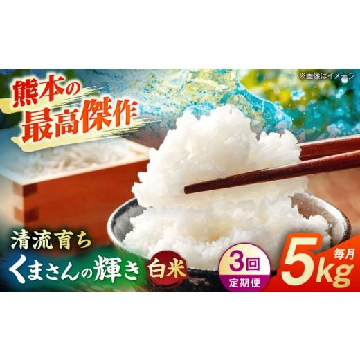 ふるさと納税 米 熊本県 山鹿市 先行予約 3回定期便 くまさんの輝き 白米 5kg 山鹿市産 奥村果実園