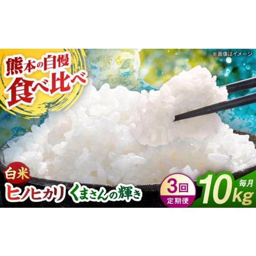 ふるさと納税 米 ヒノヒカリ 熊本県 山鹿市 先行予約 3回定期便 食べ比べ くまさんの輝き ヒノヒカリ 白米 10kg(5kg×2袋) 山鹿市産 奥村果実園