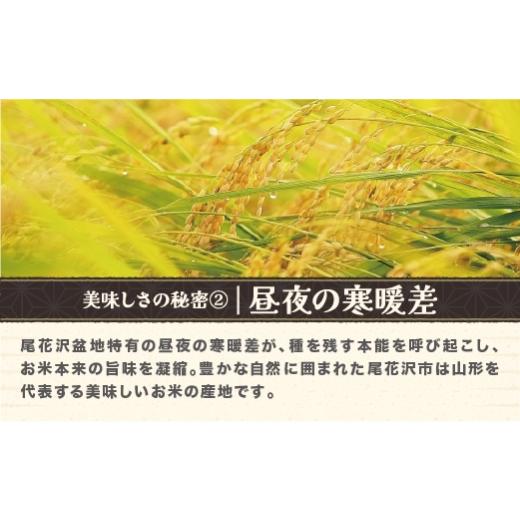 ふるさと納税 米 はえぬき 山形県 尾花沢市 令和7年産 精米 はえぬき 20kg 5kg×4袋 6月下旬発送 ko-hasxa20-6s 令和8年6月下旬発送の画像