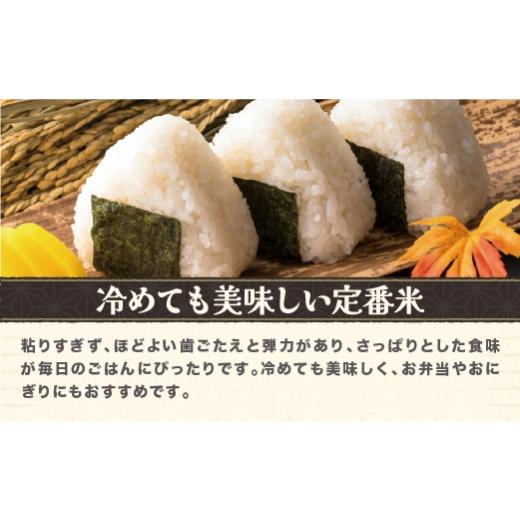 ふるさと納税 米 はえぬき 山形県 尾花沢市 令和7年産 精米 はえぬき 20kg 5kg×4袋 8月下旬発送 ko-hasxa20-8s 令和8年8月下旬発送の画像