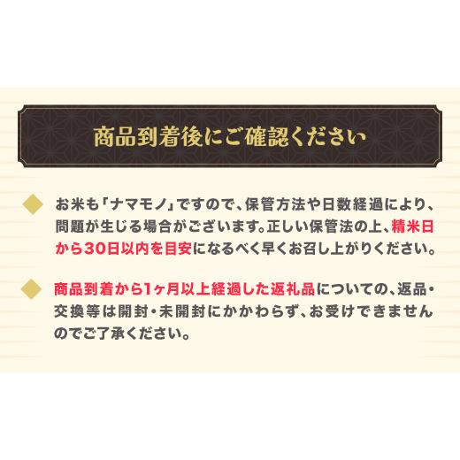 ふるさと納税 米 はえぬき 山形県 尾花沢市 令和7年産 精米 はえぬき 20kg 5kg×4袋 8月下旬発送 ko-hasxa20-8s 令和8年8月下旬発送の画像