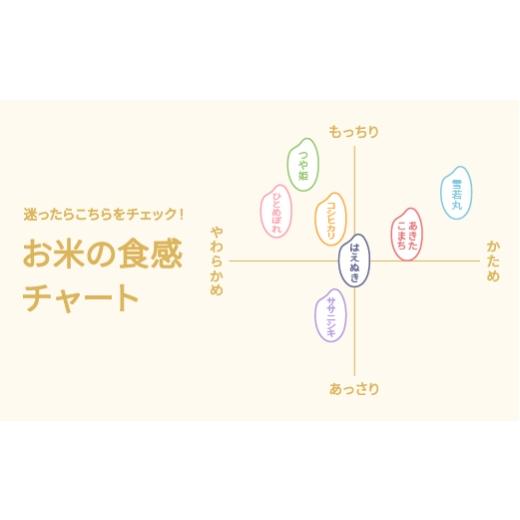 ふるさと納税 米 ひとめぼれ 山形県 尾花沢市 令和7年産 精米 ひとめぼれ 20kg 5kg×4袋 6月下旬発送 ko-hisxa20-6s 令和8年6月下旬発送の画像