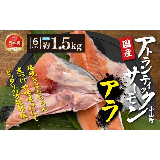 ふるさと納税 魚貝類 サーモン 静岡県 小山町 日本初 完全陸上養殖 静岡県小山町産 アトランティックサーモン 冷凍 アラ6パック 約1.5kg | サーモン さーもん …