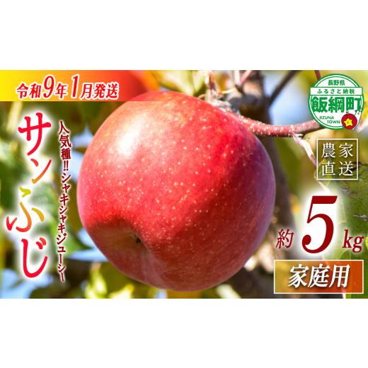 ふるさと納税 りんご 長野県 飯綱町 年明け発送 りんご サンふじ 家庭用 5kg 丸西農園 沖縄県への配送不可 2027年1月上旬頃から2027年1月中旬頃まで順次発送…