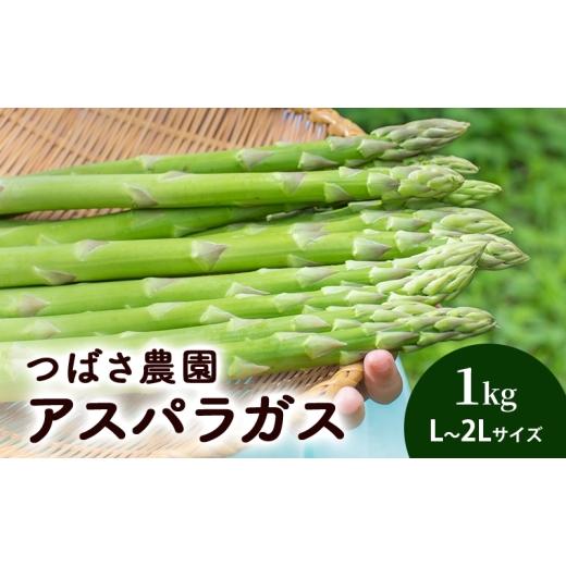 ふるさと納税 野菜類 アスパラガス 北海道 芦別市 アスパラガス L 〜 2L サイズ 1kg 2026年 発送 芦別RICE つばさ農園 アスパラ グリーンアスパラ 旬 とれたて…