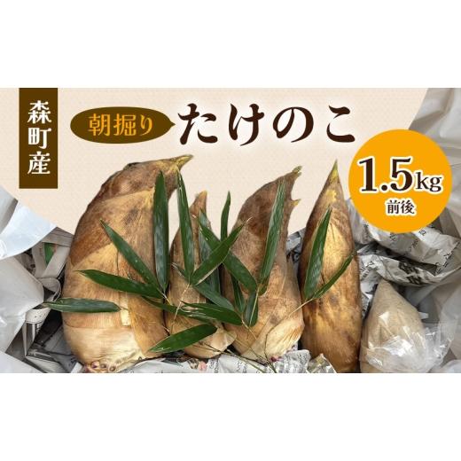 ふるさと納税 野菜類 静岡県 森町 3月下旬より順次発送 森町産朝掘りたけのこ1.5kg前後 たけのこ 筍 タケノコ 春の味覚 こだわり 朝堀り 当日出荷 かぐや姫 …