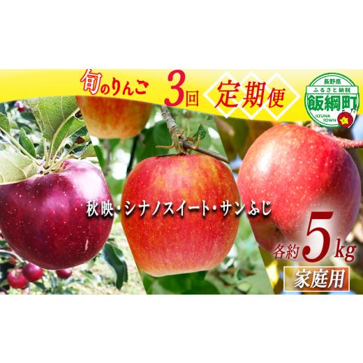 ふるさと納税 りんご 長野県 飯綱町 旬のりんご 定期便 家庭用 5kg × 3回 丸西農園 沖縄県への配送不可 2026年10月上旬頃から2026年12月中旬頃まで順次発送予…