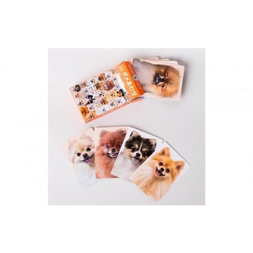 ふるさと納税 雑貨・日用品 玩具 東京都 中野区 もふもふポメラニアンが大集合 ポメあわせ