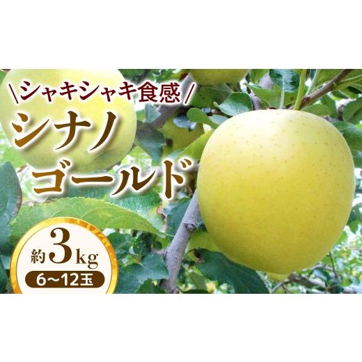 ふるさと納税 りんご 長野県 豊丘村 家庭用 りんご シナノゴールド 約3kg 2026年4月下旬まで順次発送 スマートフレッシュ| 林檎|リンゴ|6〜12玉|フルーツ…