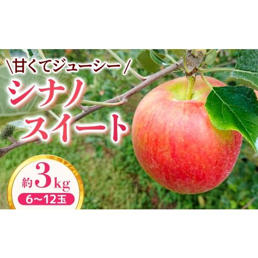 ふるさと納税 りんご 長野県 豊丘村 家庭用 りんご シナノスイート 約3kg 2026年4月下旬まで順次発送 スマートフレッシュ| 林檎|リンゴ|6〜12玉|フルーツ…