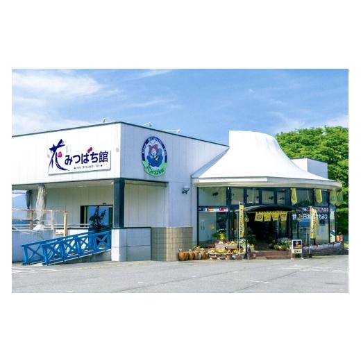 ふるさと納税 加工品等 はちみつ 群馬県 沼田市 朝一番搾り 高級アカシヤはちみつ 1000g 瓶入りはちみつ箱詰め 花みつばち館 蜂蜜 はちみつ ハチミツ 国産 高…の画像