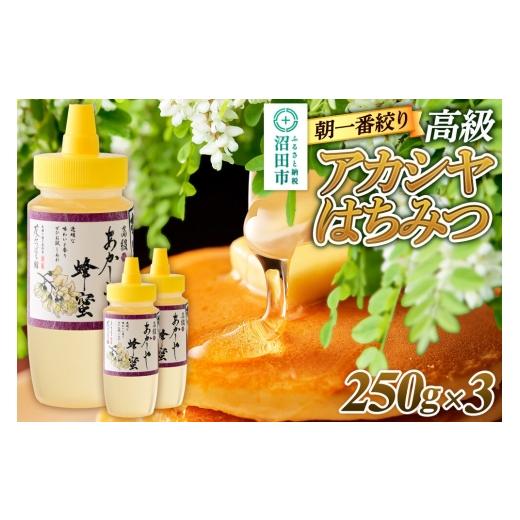 ふるさと納税 加工品等 はちみつ 群馬県 沼田市 朝一番搾り 高級アカシヤはちみつ 250g×3本 花みつばち館 蜂蜜 はちみつ ハチミツ 国産 高級の画像