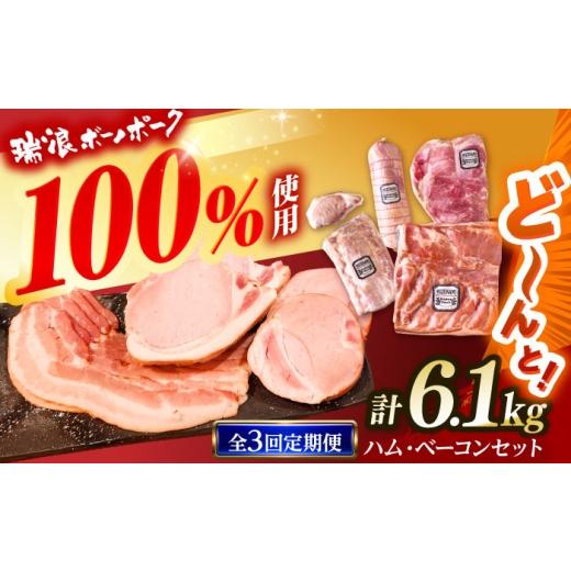 ふるさと納税 ハム・ソーセージ・ハンバーグ 岐阜県 瑞浪市 3回定期便 ハム・ベーコン ブロック セット 瑞浪ボーノポーク 6.1kg (冷凍) 瑞浪市 / きなぁた瑞…