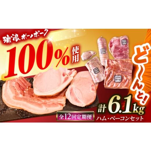 ふるさと納税 ハム・ソーセージ・ハンバーグ 岐阜県 瑞浪市 12回定期便 ハム・ベーコン ブロック セット 瑞浪ボーノポーク 6.1kg (冷凍) 瑞浪市 / きなぁた…