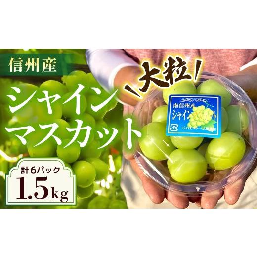 ふるさと納税 ぶどう マスカット 長野県 豊丘村 2026年発送先行予約 ぶどう シャインマスカット 約1.5kgパック詰め(約250g×6パック) 2026年9月下旬〜10月…