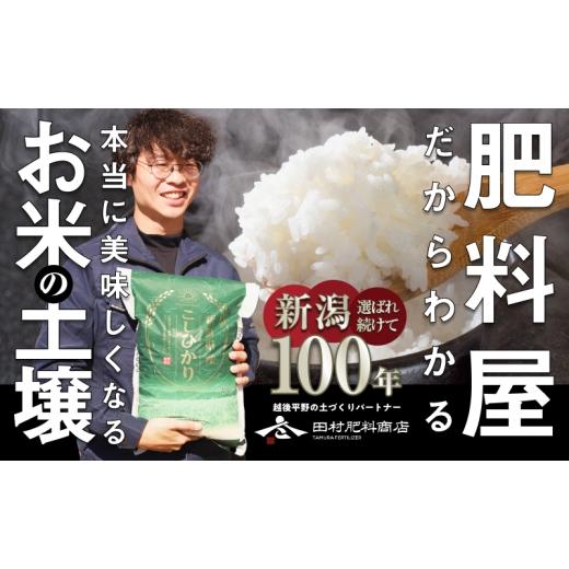 ふるさと納税 米 コシヒカリ 新潟県 新潟市 先行予約 R8年産新潟産コシヒカリ5kg