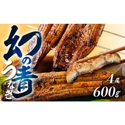 ふるさと納税 うなぎ 愛知県 田原市 父の日お届け/冷凍 厳選 高級 青うなぎ 4尾 蒲焼 600g [先行予約]冷凍/父の日までにお届け予約