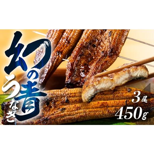 ふるさと納税 うなぎ 愛知県 田原市 父の日お届け/冷蔵 厳選 高級 青うなぎ 3尾 蒲焼 450g [先行予約]冷蔵/父の日までにお届け予約