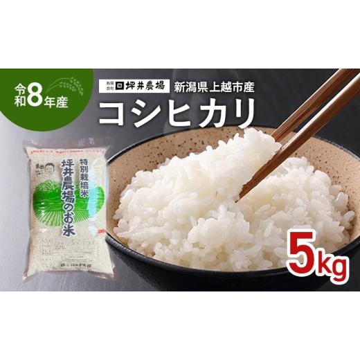 ふるさと納税 米 コシヒカリ 新潟県 上越市 先行予約 令和8年産 新潟県 上越市産 コシヒカリ 5kg 5キロ窒素封入 上越市 坪井農場 白米 精米 送料無料