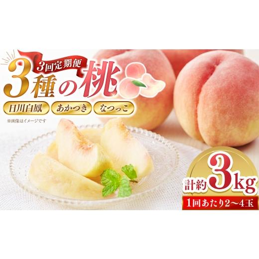 ふるさと納税 もも 山梨県 中央市 3回定期便 3種の桃が楽しめる 計約3kg 2026年6月下旬〜7月下旬発送予定 桃 定期便 3回 日川鳳凰 あかつき なつっこ 食べ比…